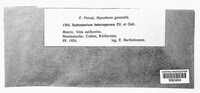 Image Associated With the Occurence